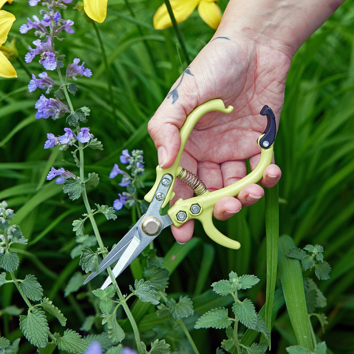 Hand holding chartreuse needle-nose garden shears around a stem beside purple flowers
