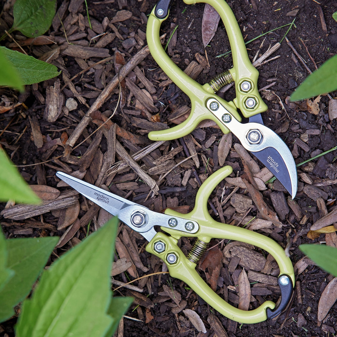 Chartreuse bypass pruners and needle-nose shears resting on bark mulch between green leaves