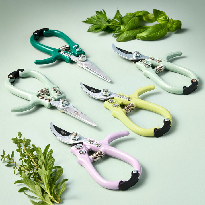 Sage, lavender, chartreuse, and ocean garden shears and pruners laid out with fresh herbs on a pale green backdrop