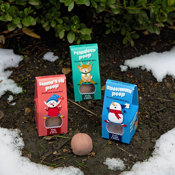 Three poop seed bomb boxes standing in dark garden soil with patches of snow and a clay seed ball