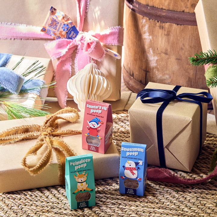 Three seed bomb boxes beside wrapped Christmas gifts tied with pink and navy ribbon on a woven rug
