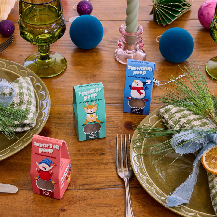 Reindeer, snowman, and elf seed bomb boxes as favors on a holiday table with green plaid napkins and goblets