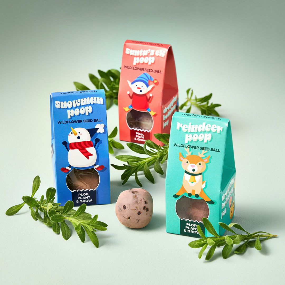 Snowman, Santa's elf, and reindeer poop seed bomb boxes with a clay seed ball and boxwood sprigs