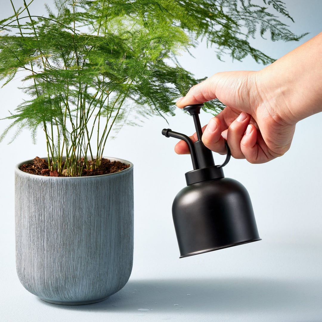 Hand misting a feathery asparagus fern in a gray ribbed pot with a matte black plant mister