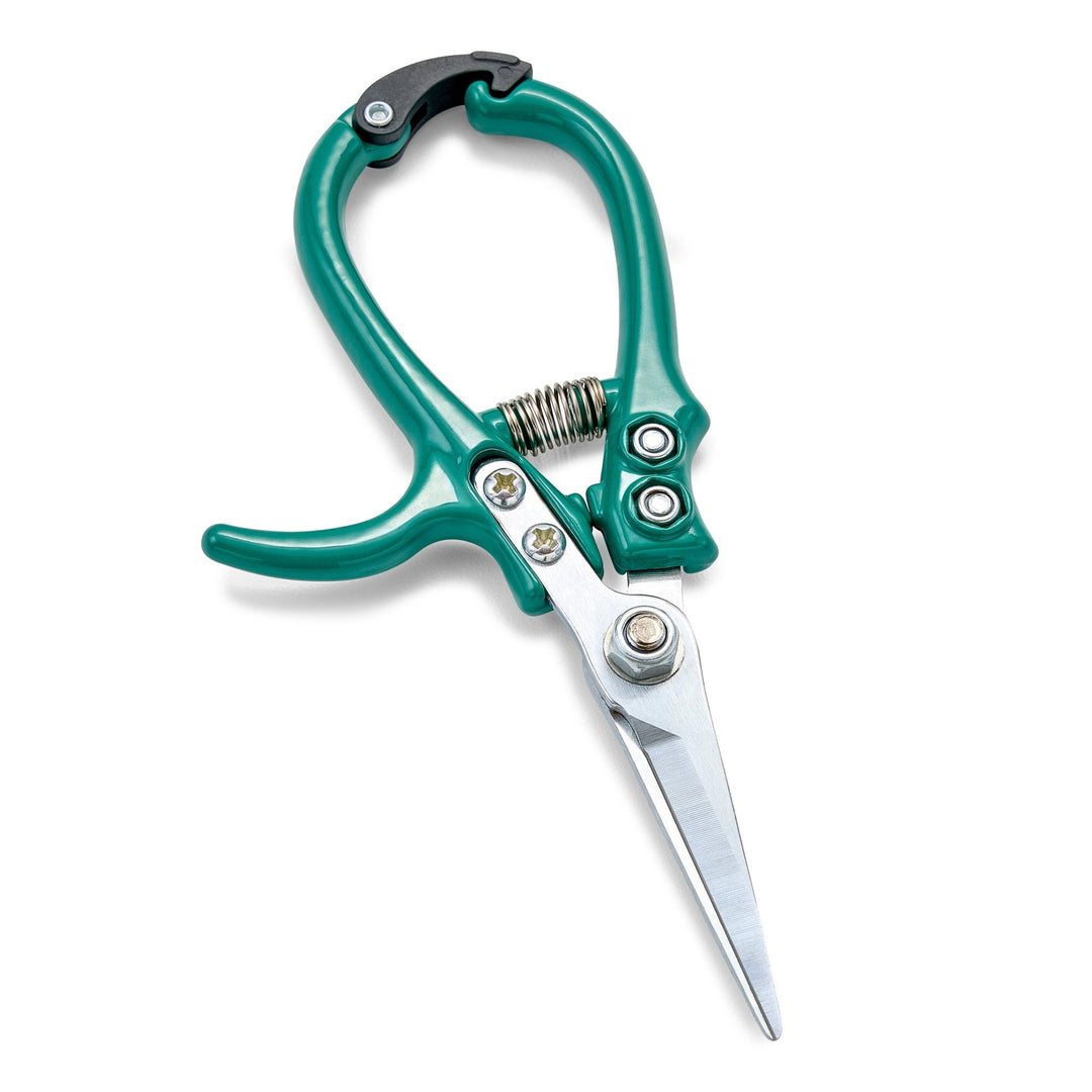 Ocean green needle-nose garden shears with closed straight blades and a coil spring on white