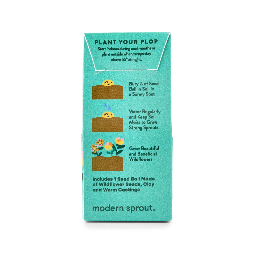 Back of a teal seed ball box with bury, water, and grow steps and an includes line for one seed ball