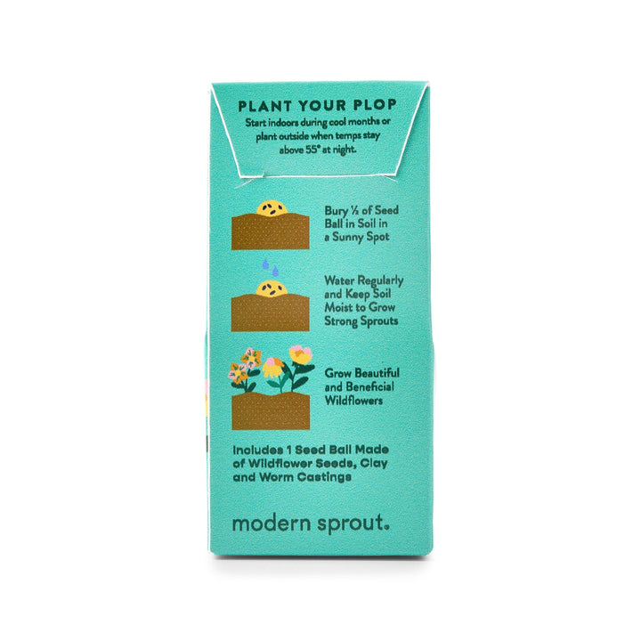 Back of a teal seed ball box with bury, water, and grow steps and an includes line for one seed ball