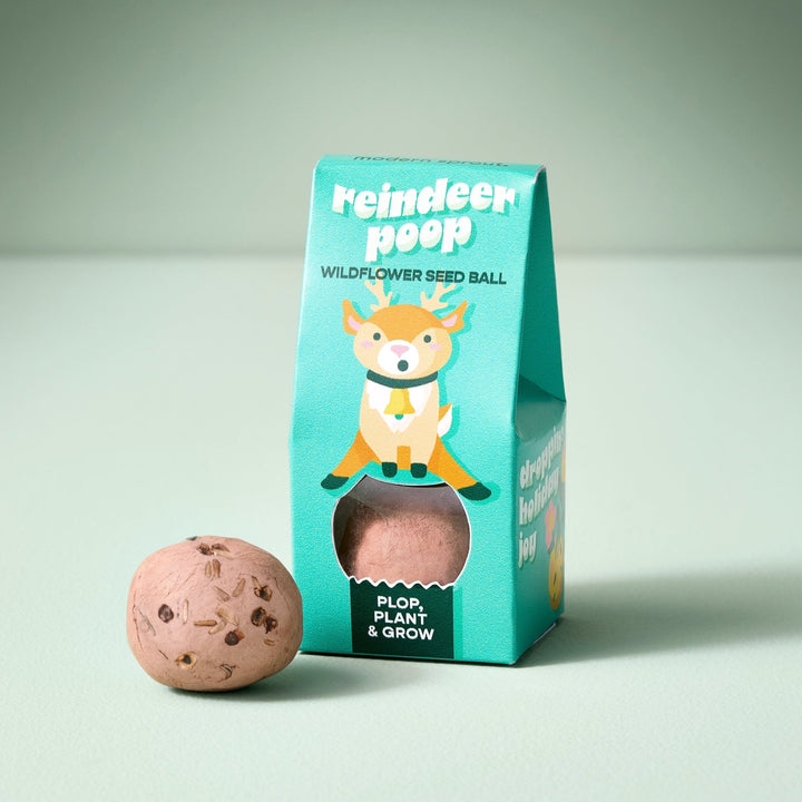 Teal Reindeer Poop wildflower seed ball box with a cartoon reindeer beside a round clay seed ball
