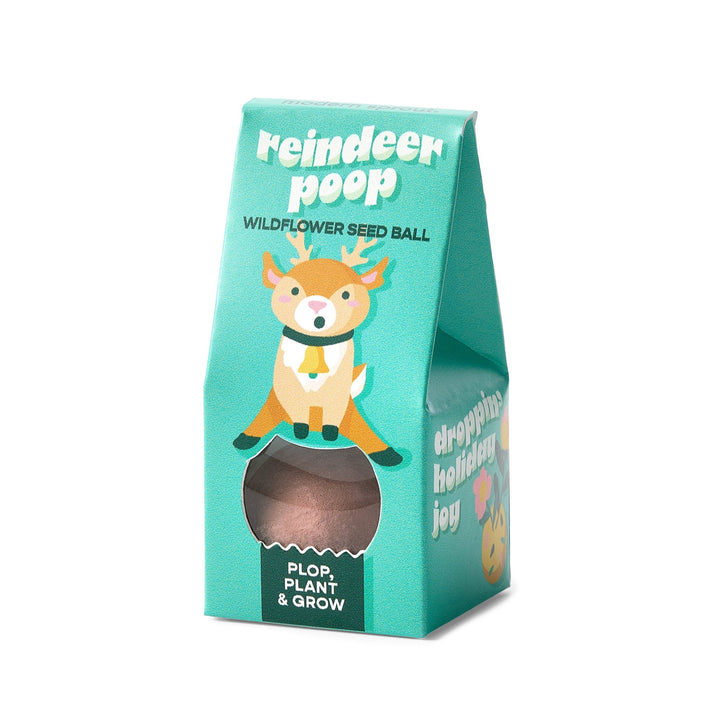 Teal Reindeer Poop seed ball box with a smiling cartoon reindeer and window, angled view on white