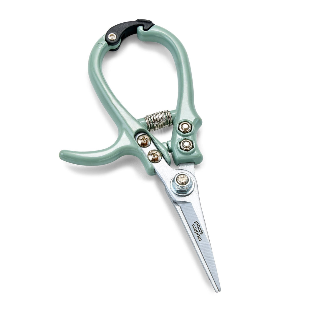 Sage needle-nose garden shears with closed straight blades and a coil spring on white
