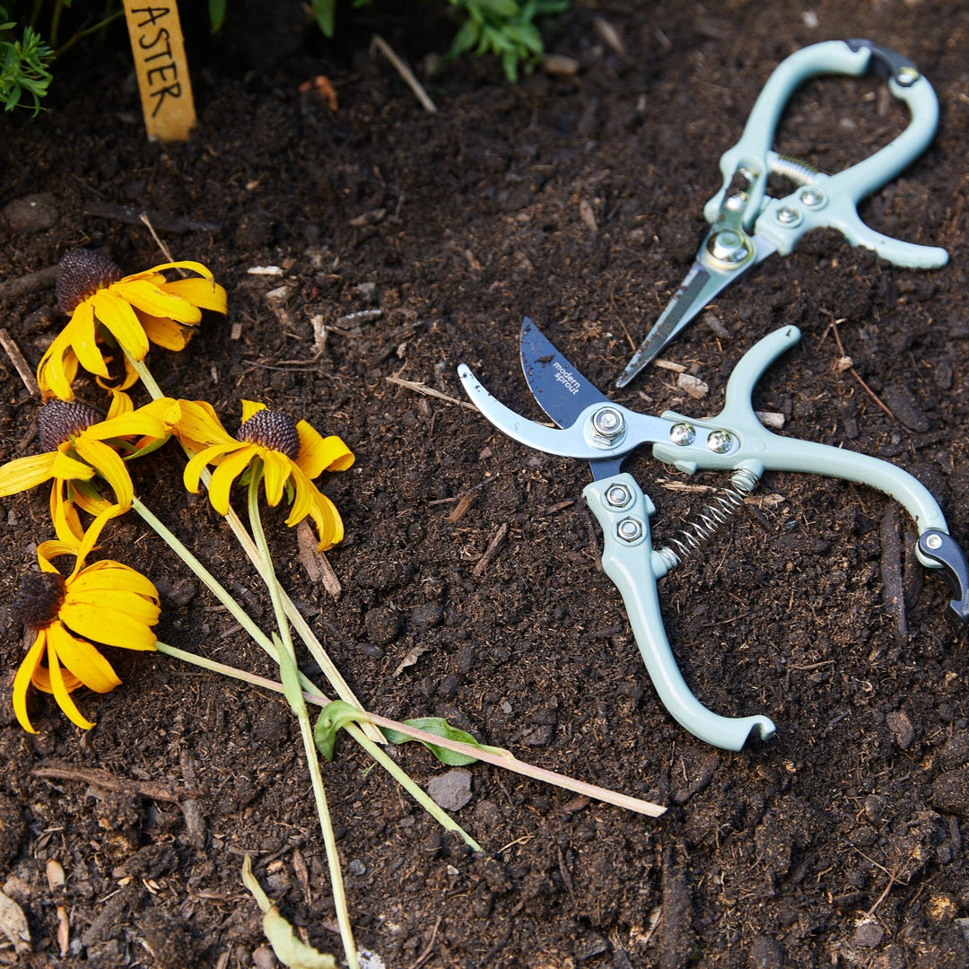 Sage bypass pruners and needle-nose shears on dark garden soil beside cut yellow flowers
