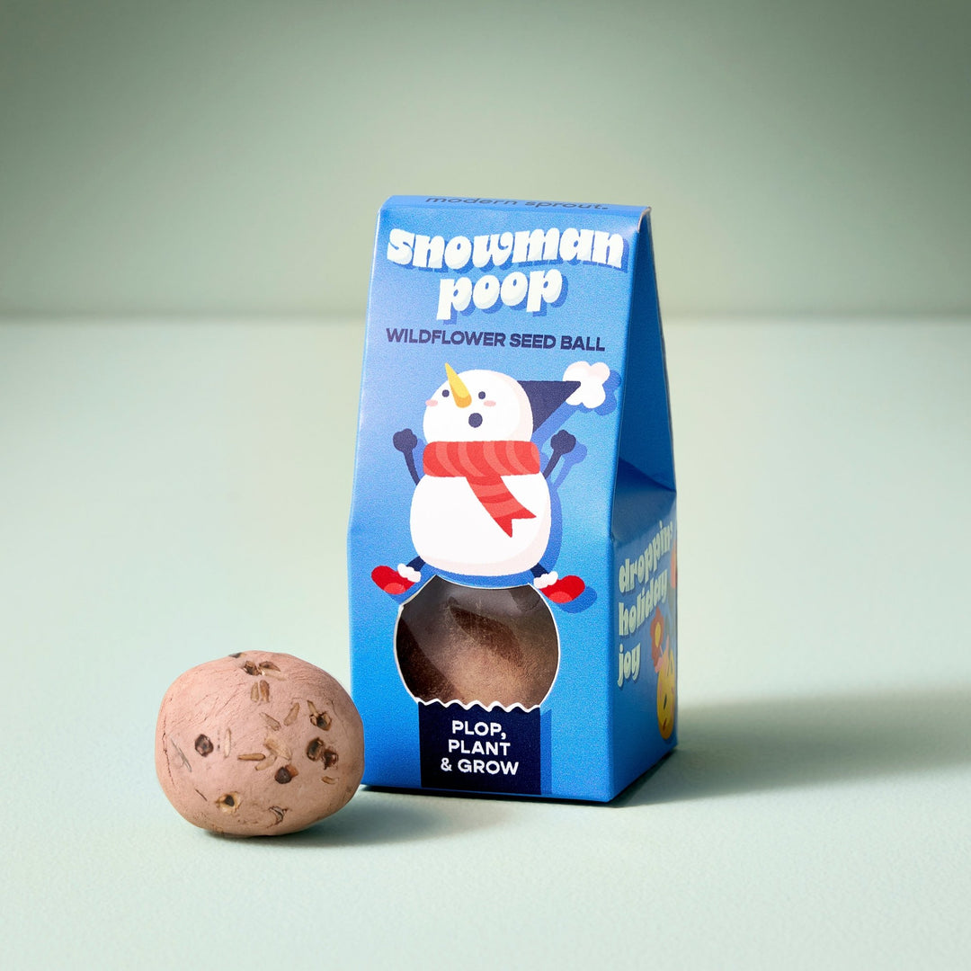 Blue Snowman Poop wildflower seed ball box with a cartoon snowman in a red scarf and a clay seed ball