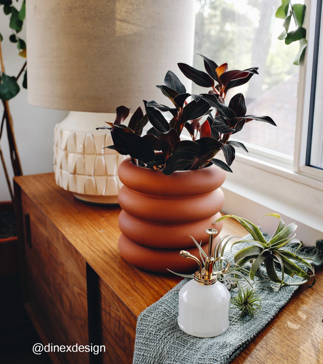 White plant mister with brass pump beside a potted rubber plant and air plants on a wood console