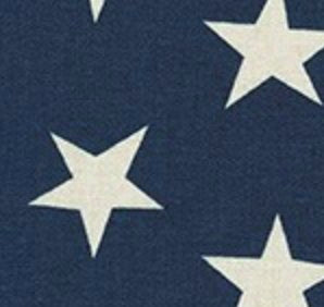 Navy Stars Dog Squeaky Toy - Bonjour Fête 