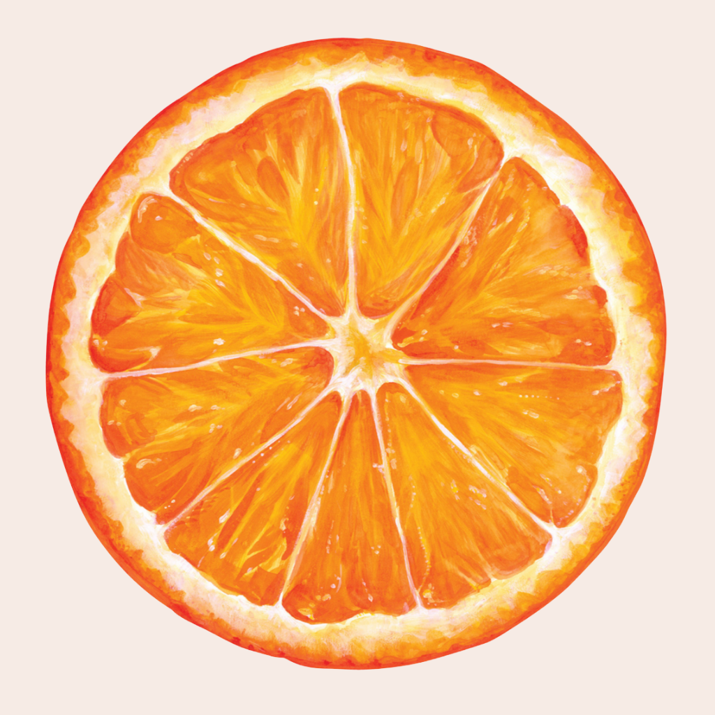 citrus party orange party supplies lemon party supplies lime party supplies