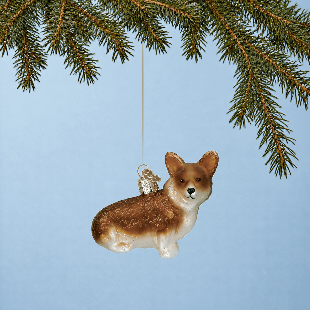 Pembroke Welsh Corgi dog Christmas tree ornament hanging from a green branch 
