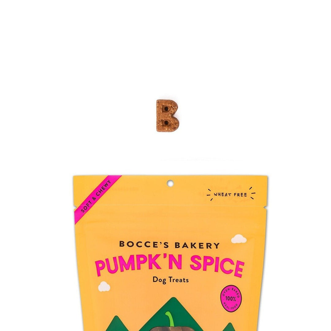 Pumpkin Spice Dog Treats Bonjour Fete Party Supplies Holiday Pet