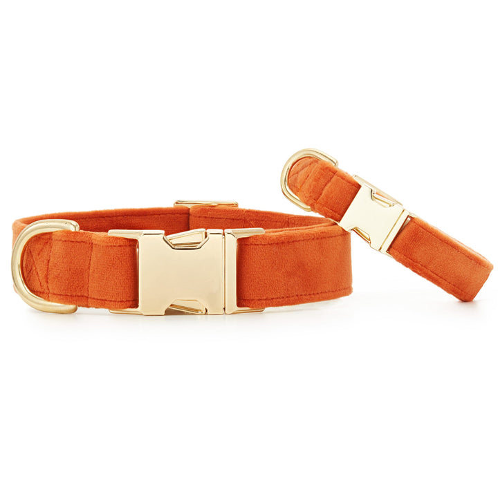 Pumpkin Velvet Dog Collar