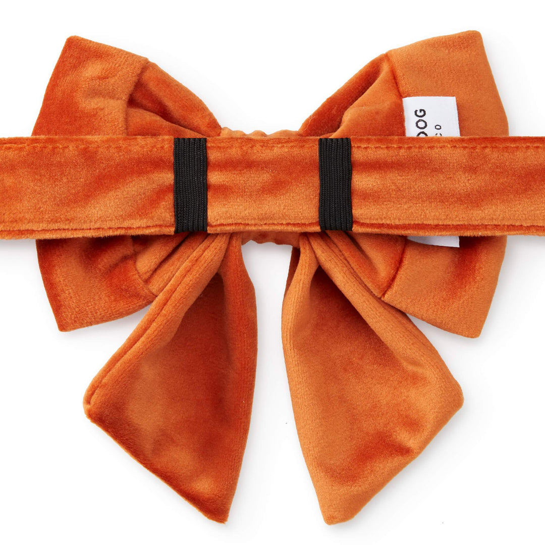 Pumpkin Velvet Lady Bow Collar