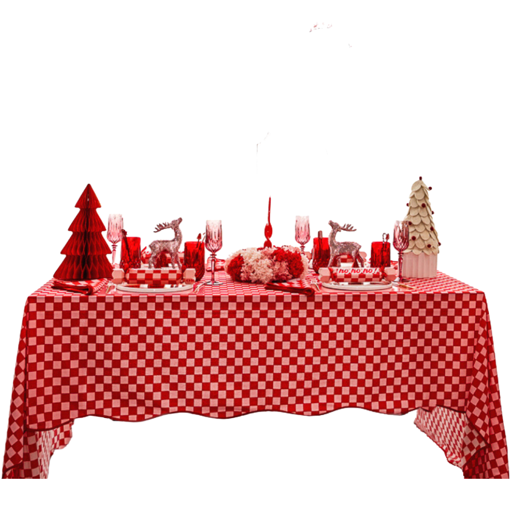 Red & Pink Checkered Cotton Tablecloth Bonjour Fete Party Supplies Christmas Holiday Party Supplies