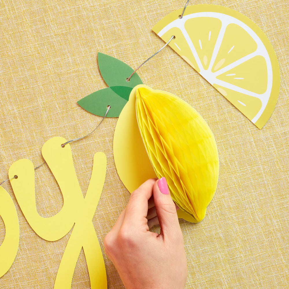 Happy Birthday Lemon Banner - lemon birthday banner - Bonjour Fête 