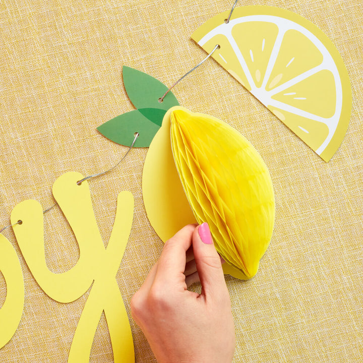 Happy Birthday Lemon Banner - lemon birthday banner - Bonjour Fête 