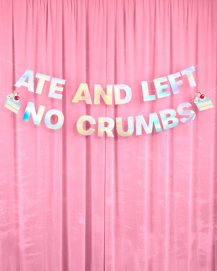 No Crumbs 🎂 Banner - pre-strung banner xo, Fetti Banners No Crumbs 🎂 Banner - pre-strung banner Bonjour Fete - Party Supplies