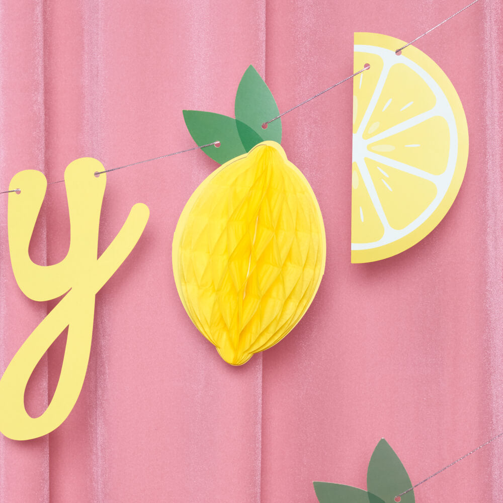 Happy Birthday Lemon Banner - lemon birthday banner - Bonjour Fête 