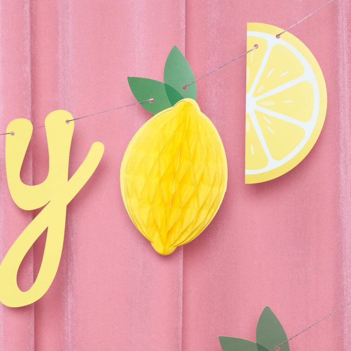 Happy Birthday Lemon Banner - lemon birthday banner - Bonjour Fête 