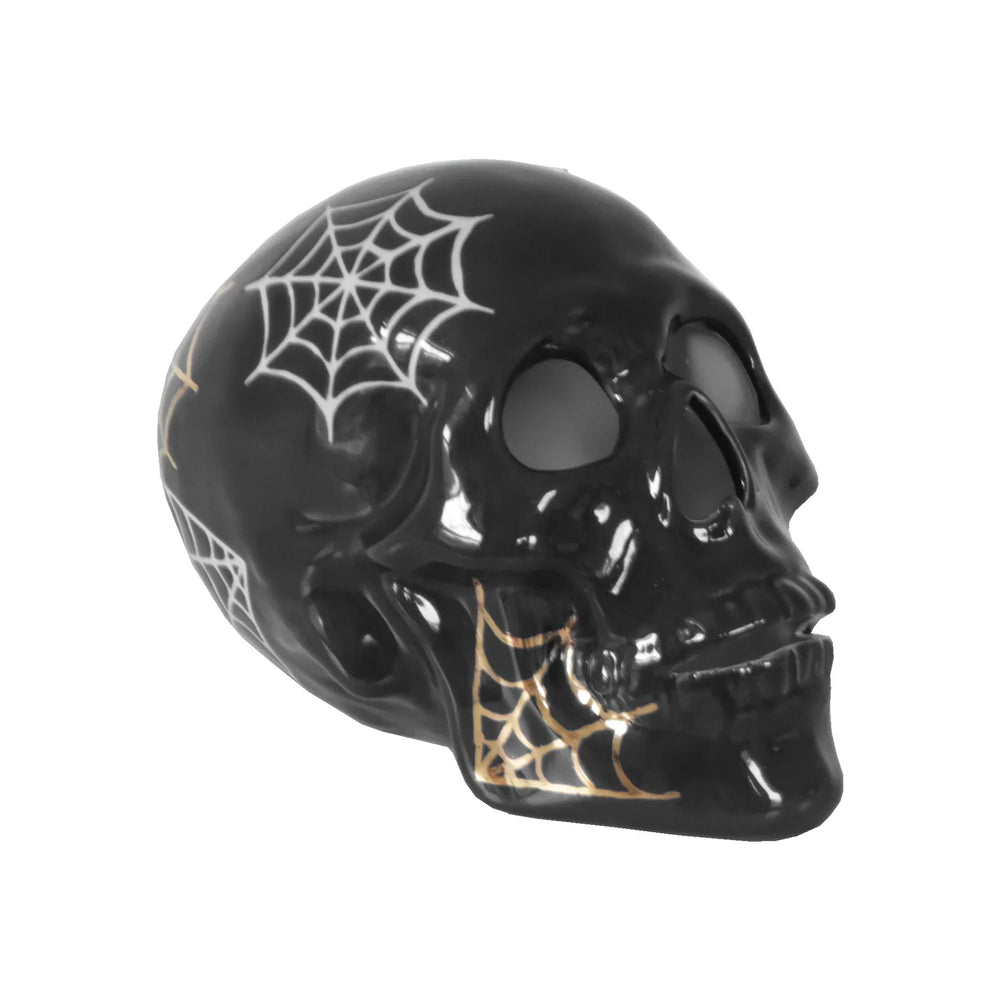 Black skull with spider web design on a white background