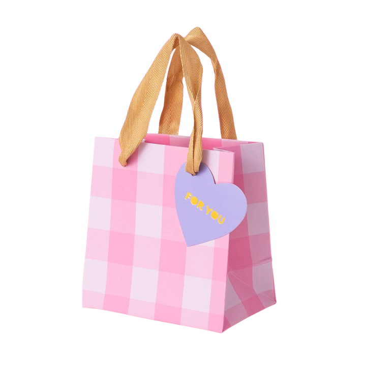 Light Pink Gingham Gift Bag Bonjour Fete Party Supplies Valentine's Day Gift Wrapping