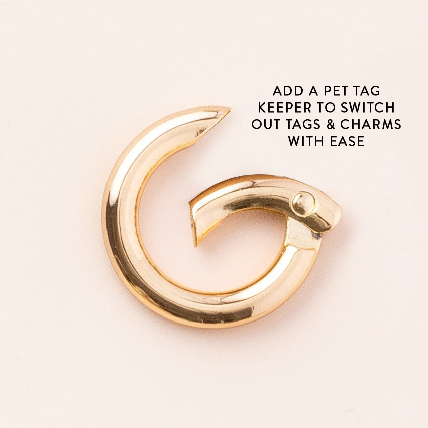 Halloween Favorites Collar Charm Set