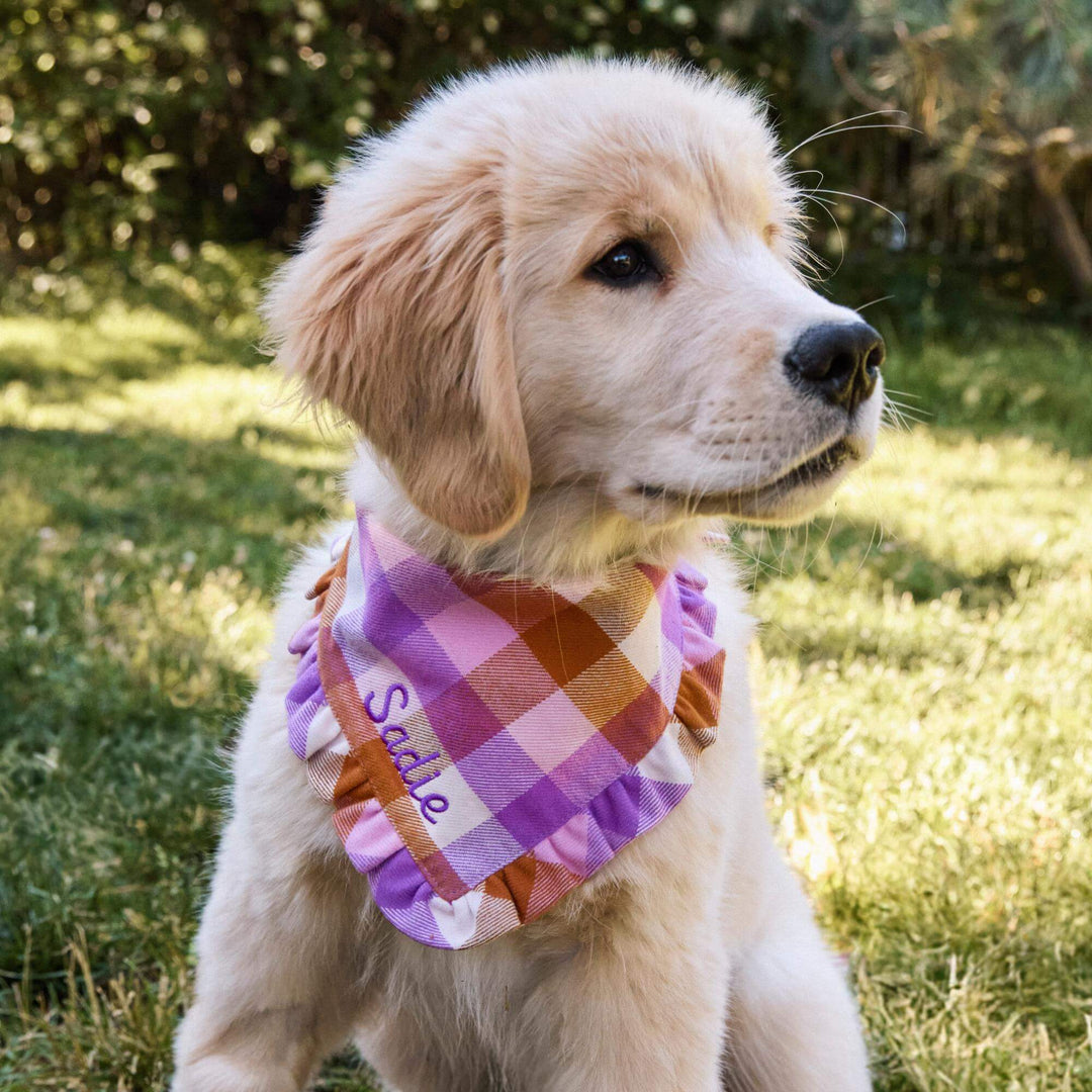 Bramble Flannel Ruffled Dog Bandana