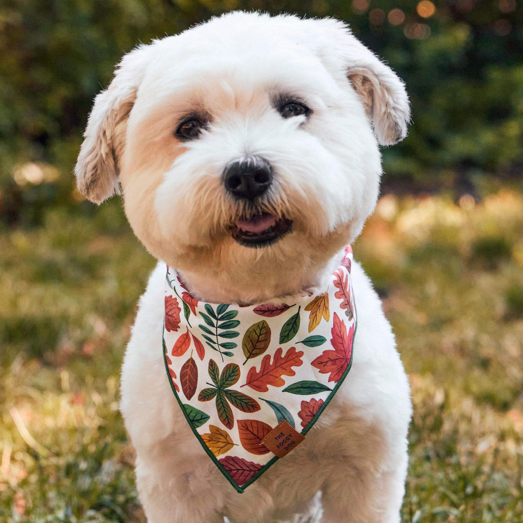 Falling Leaves Dog Bandana