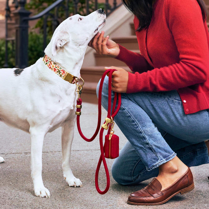 Wine Marine Rope Dog Leash