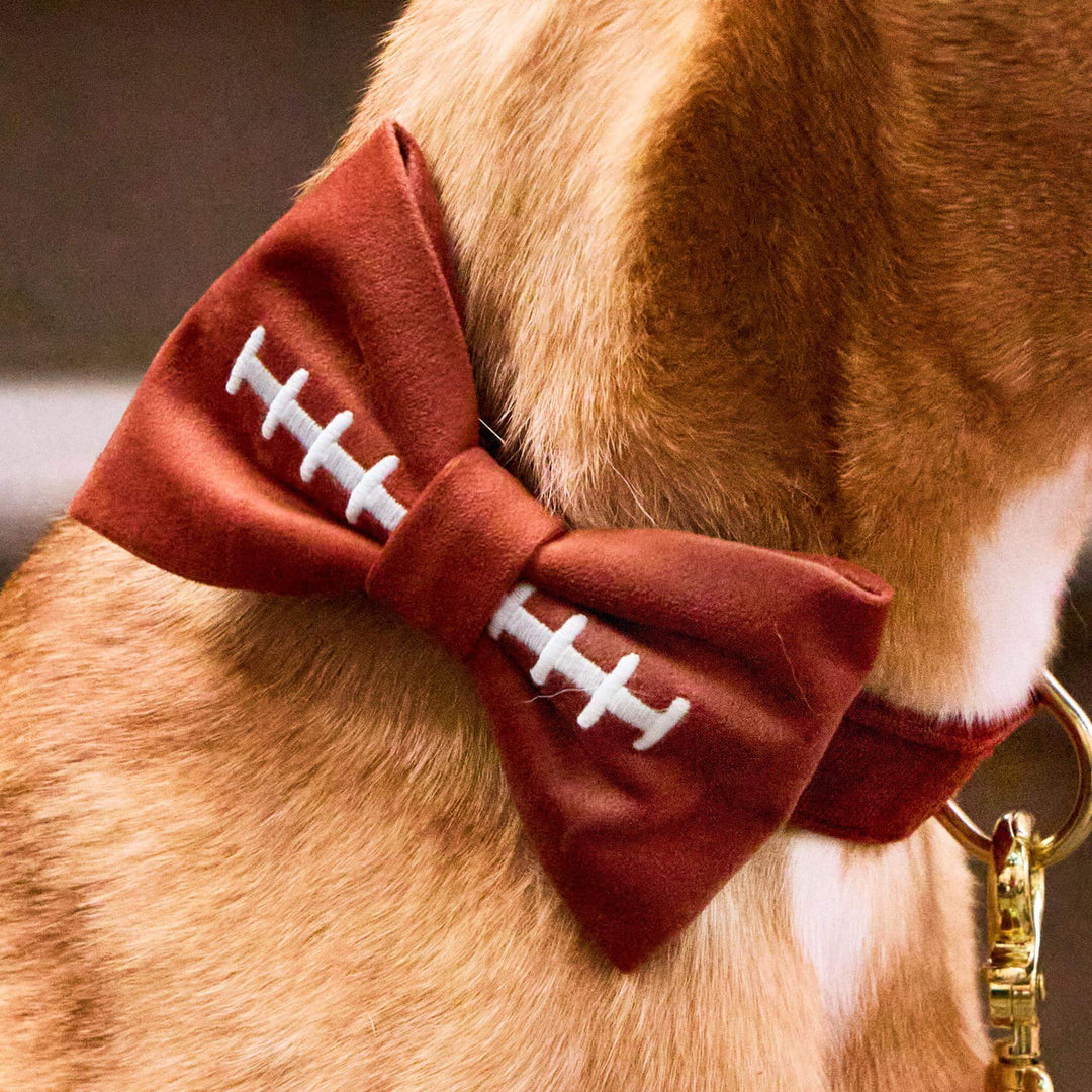 Football Embroidered Bow Tie Collar
