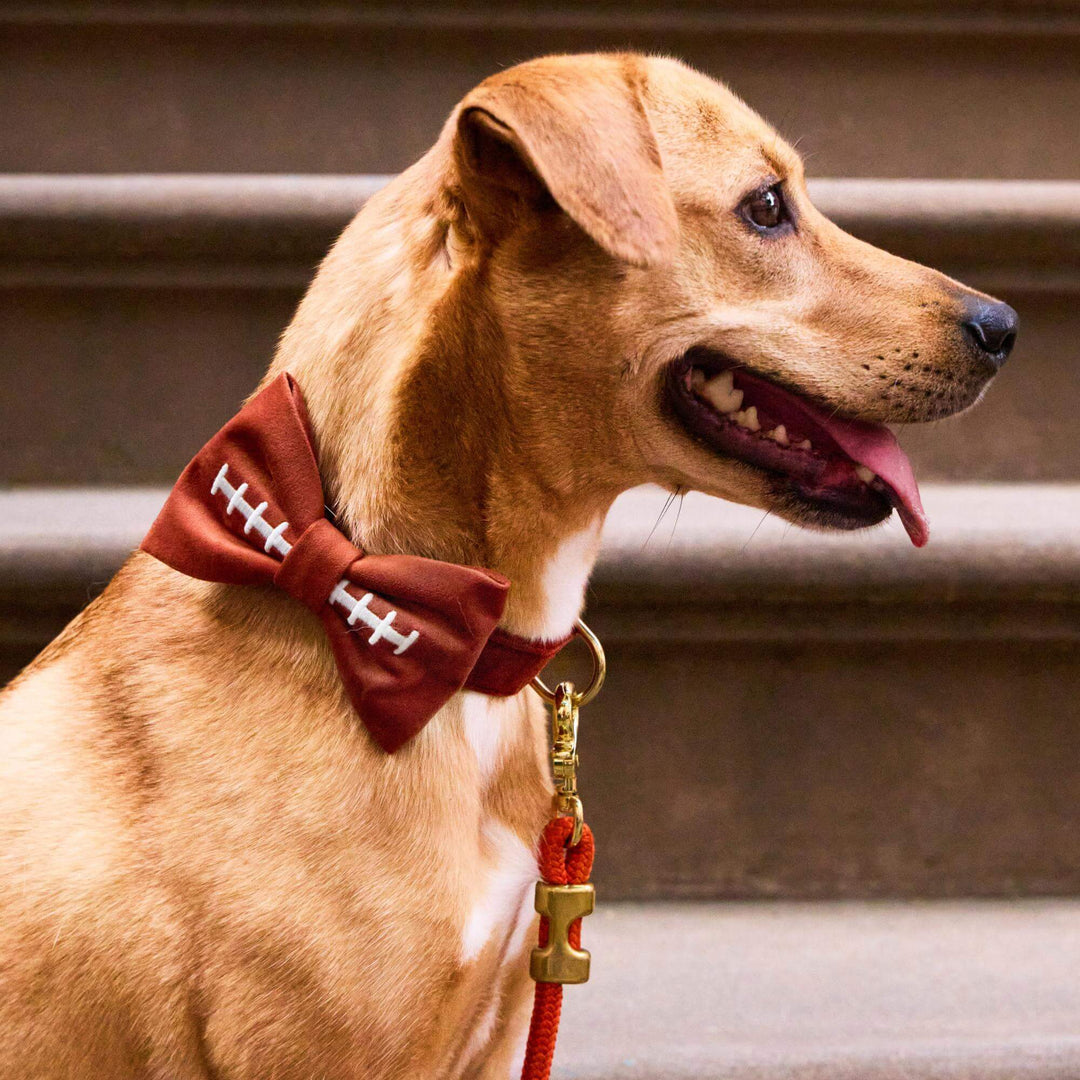 Football Embroidered Dog Bow Tie