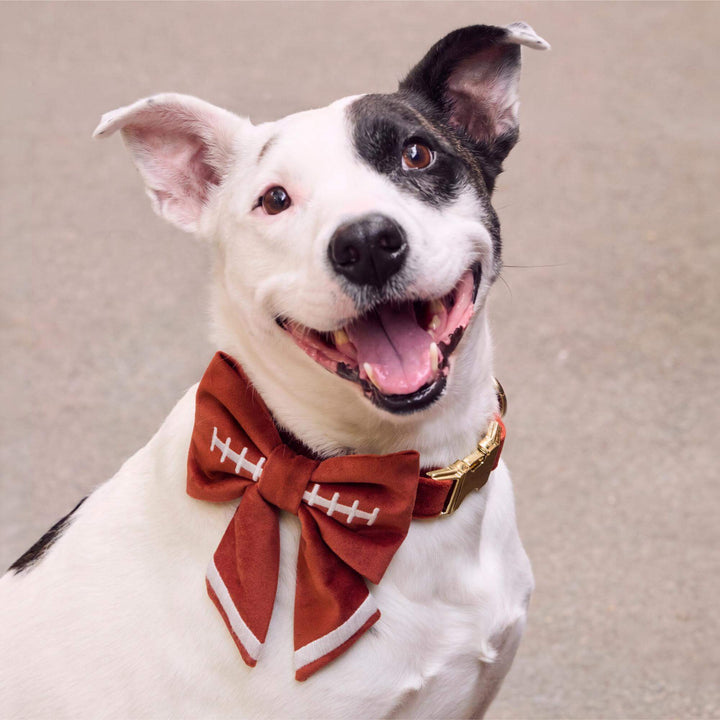 Football Embroidered Lady Bow Collar