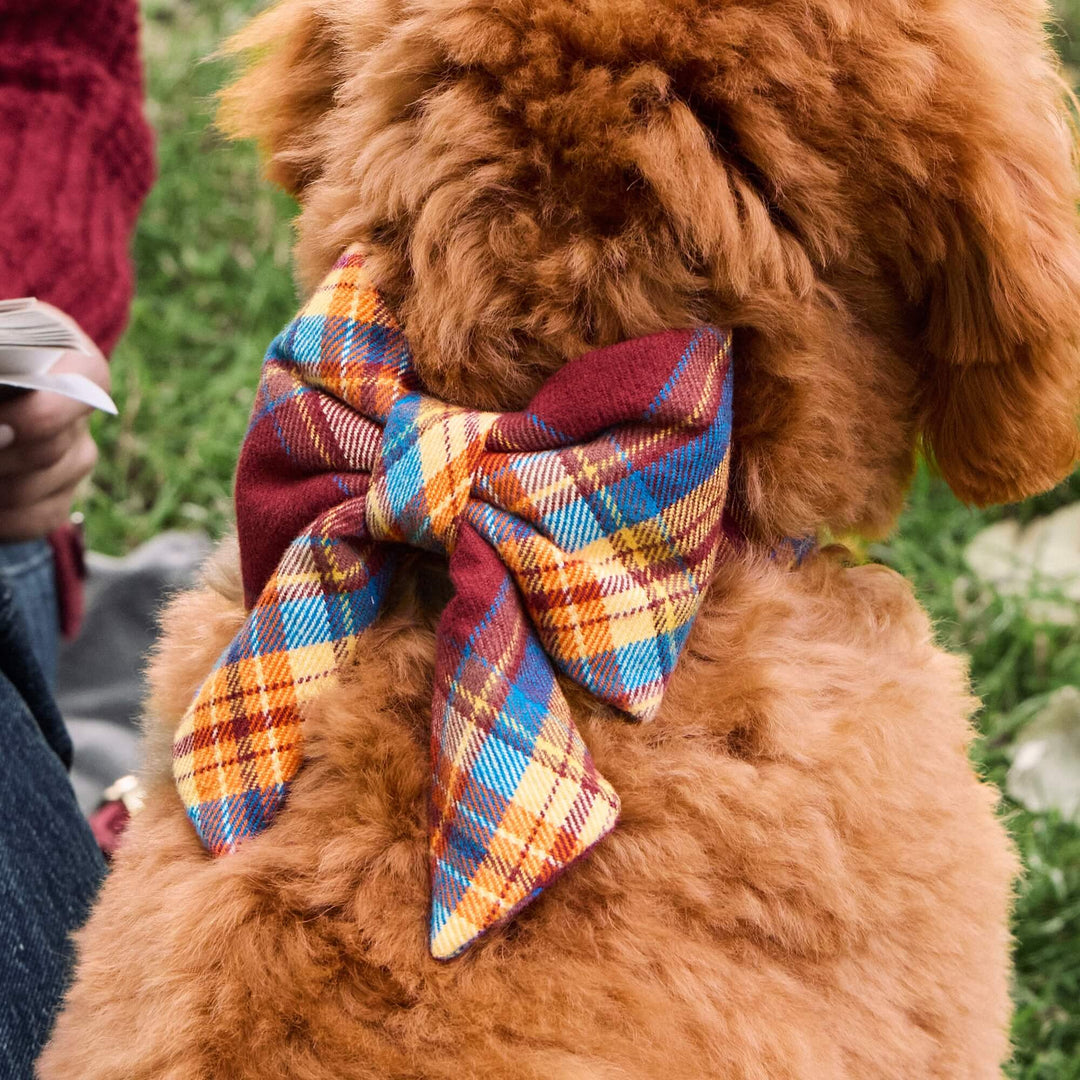 Marlow Plaid Flannel Lady Bow Collar