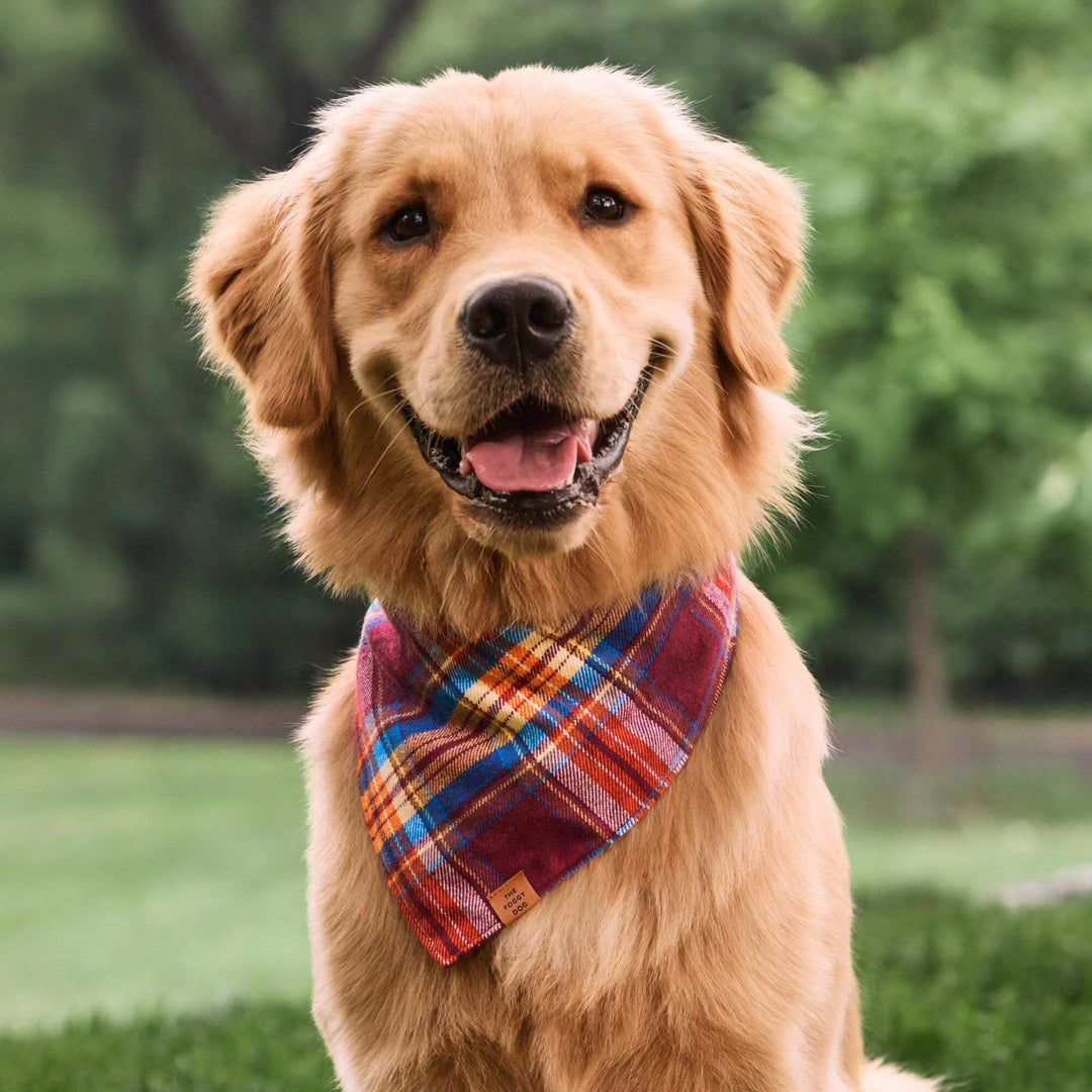Marlow Plaid Flannel Dog Bandana