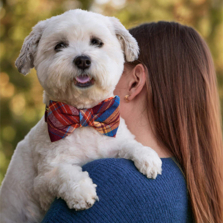 Marlow Plaid Flannel Bow Tie Collar