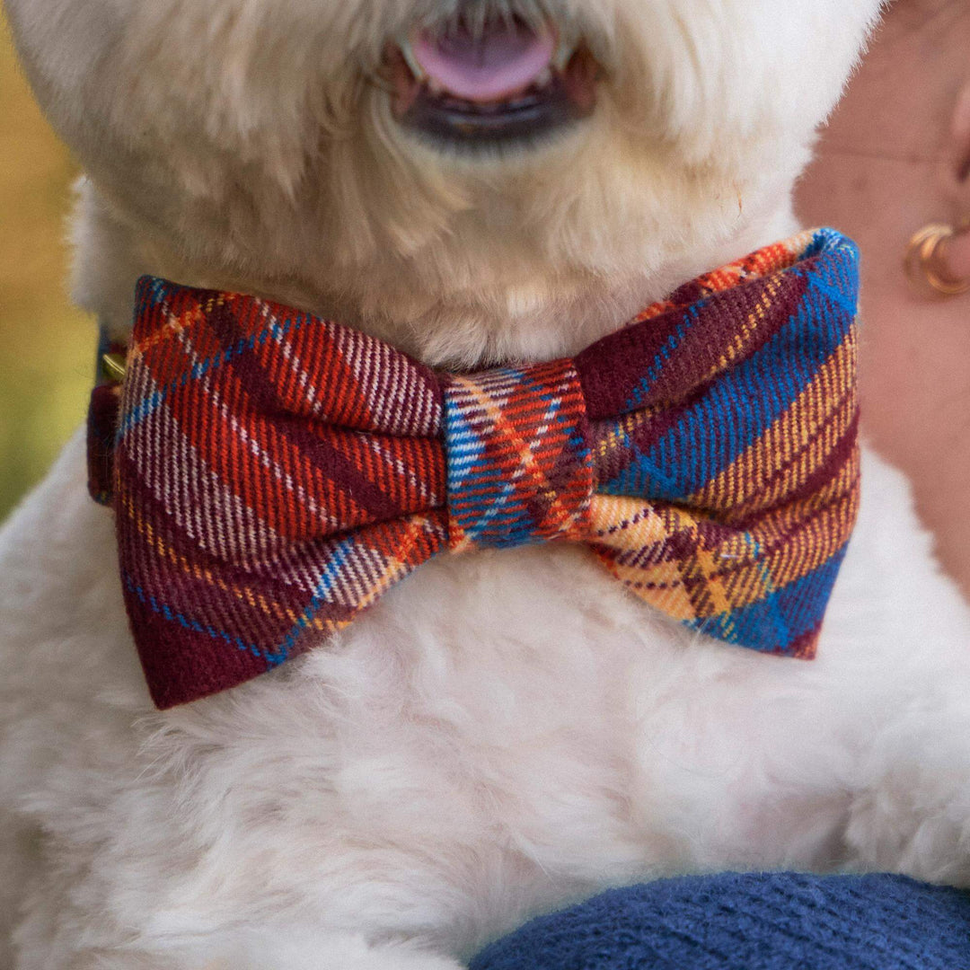 Marlow Plaid Flannel Dog Bow Tie