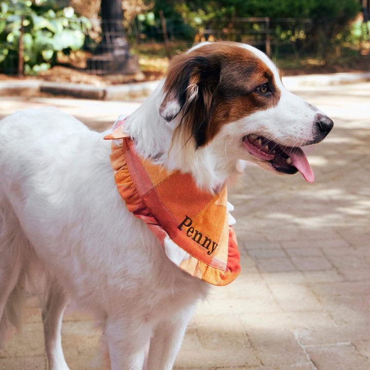 Pumpkin Spice Plaid Flannel Ruffled Dog Bandana