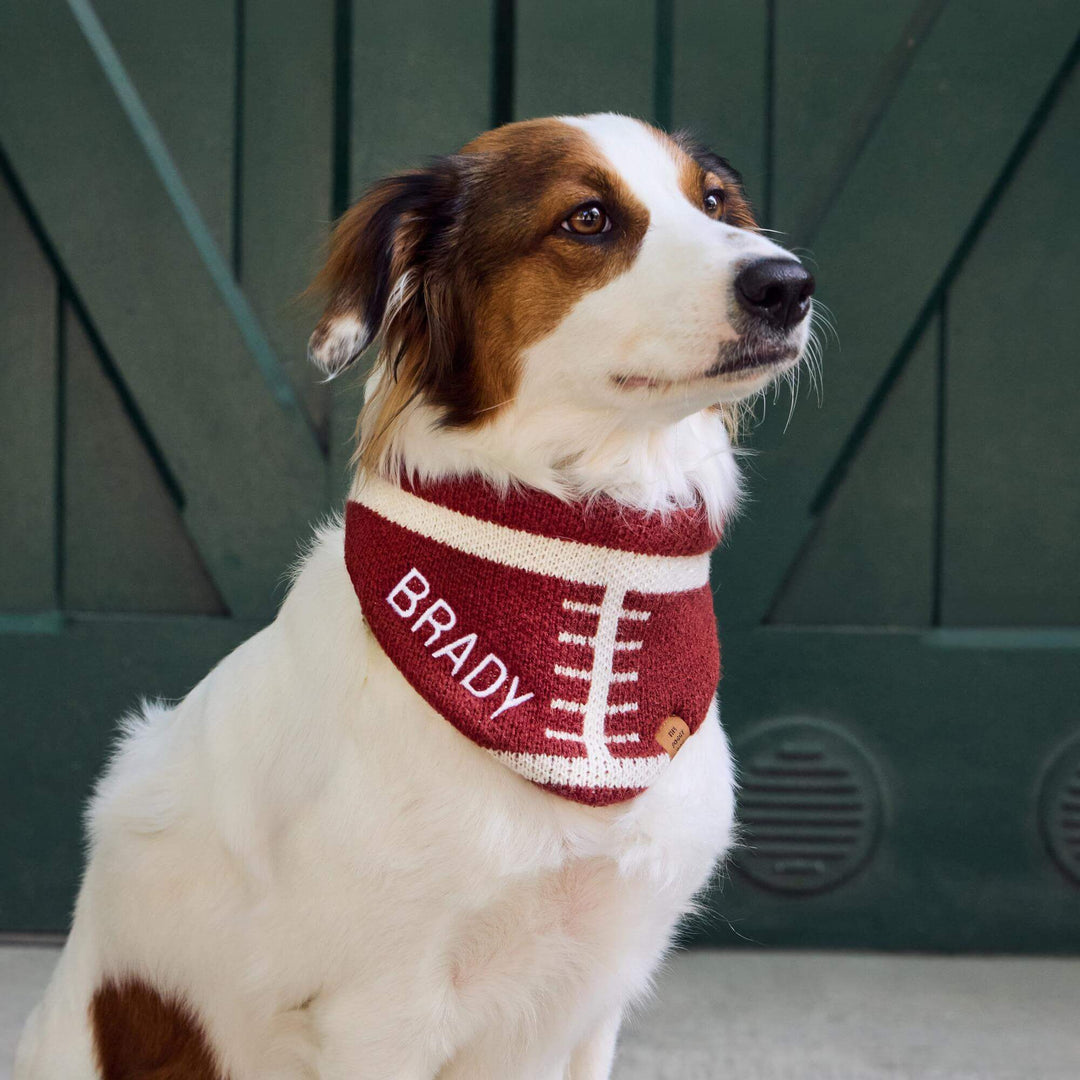Football Knit Dog Bandana
