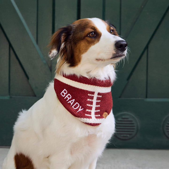 Football Knit Dog Bandana