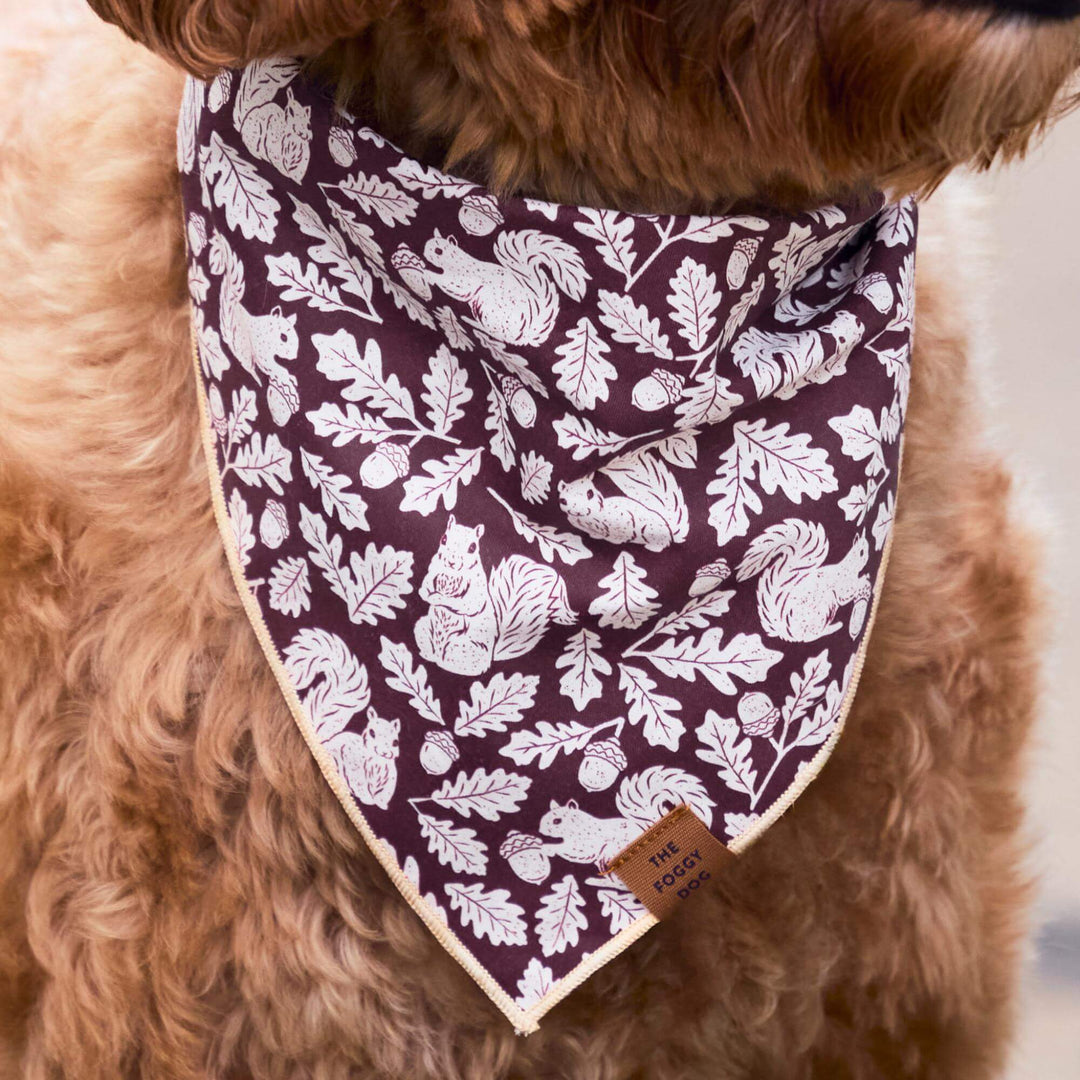 Squirrel! Dog Bandana