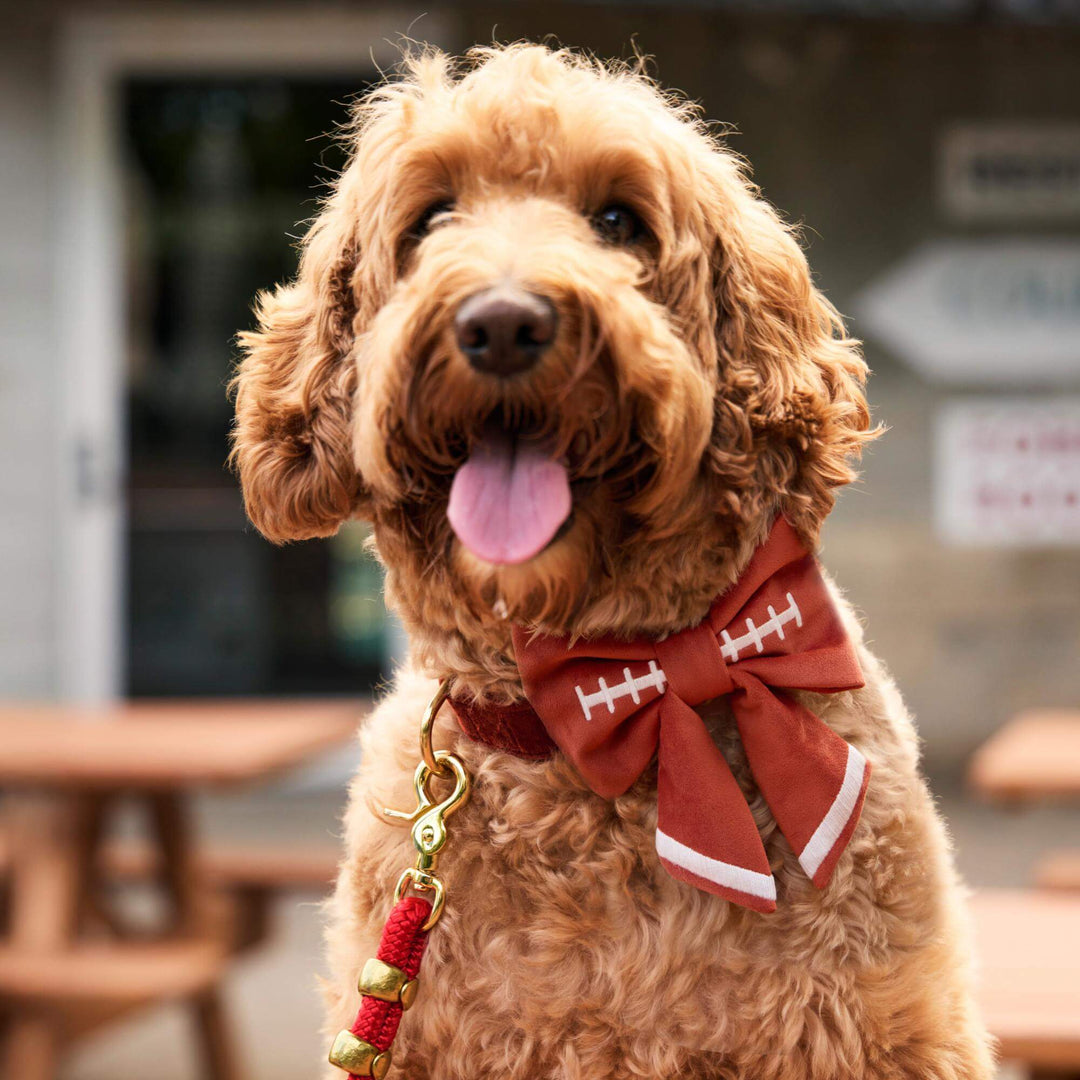 Football Embroidered Lady Dog Bow