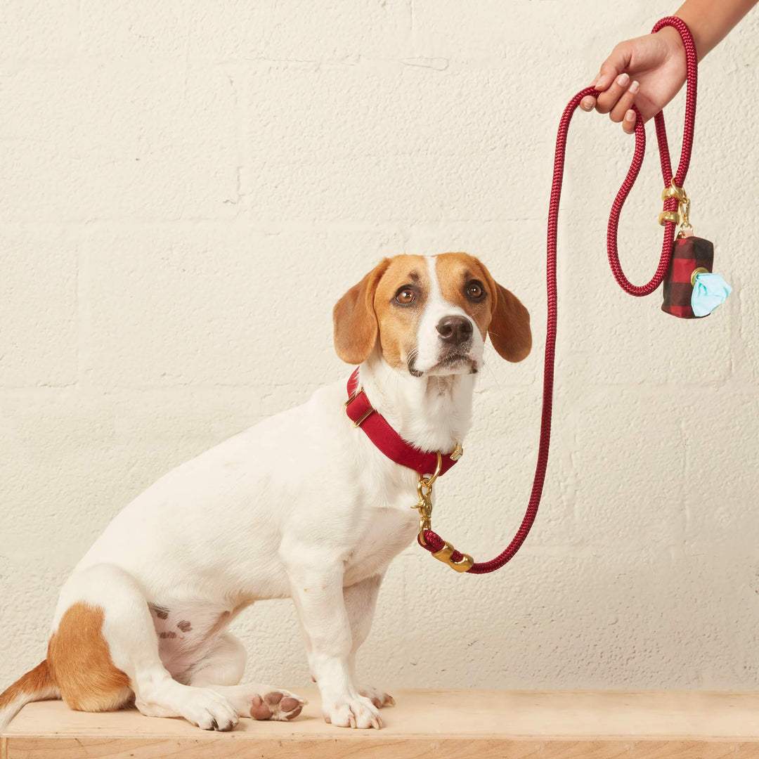 Wine Marine Rope Dog Leash