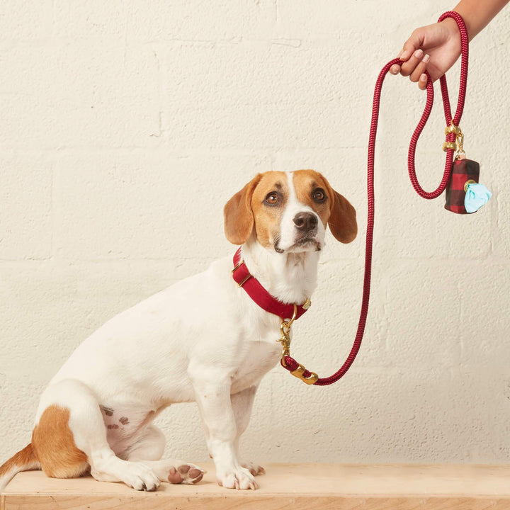 Wine Marine Rope Dog Leash