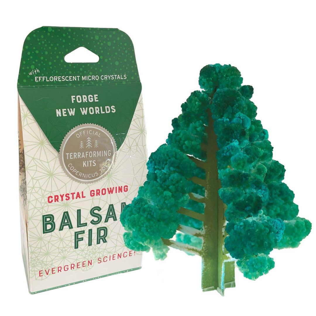 CRYSTAL GROWNG BALSAM FIR Copernicus Toys Toy Bonjour Fete - Party Supplies